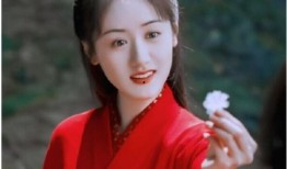 娱乐八卦每日爆料袁冰妍,揭秘明星背后的故事